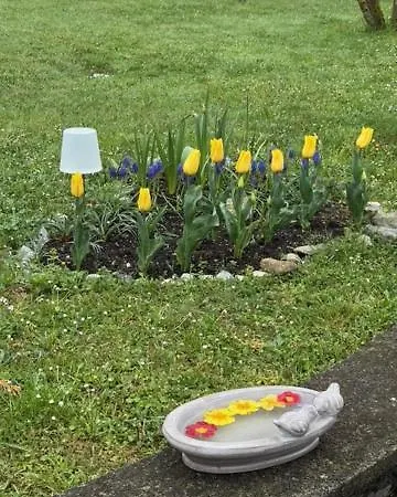 Апартаменты Casa Del Sindaco