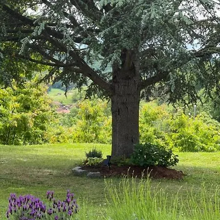 Appartamento Casa Del Sindaco Giusvalla